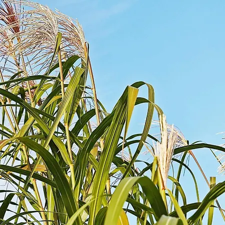 18 Person In Hasselberg *